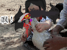 1675756805603.gif