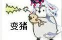 1675756923221.jpeg