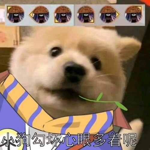 1675756924749.jpeg
