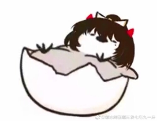 1675756925339.jpeg