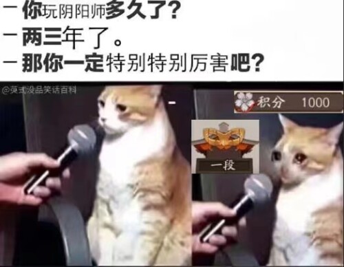 mmexport1675757577395.jpeg