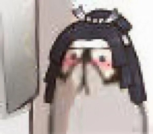 mmexport1675760322673.jpeg