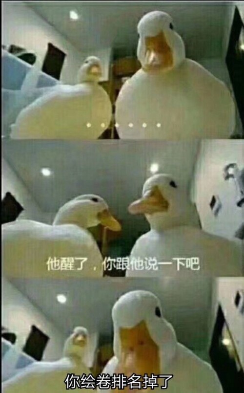 mmexport1675760347156.jpeg