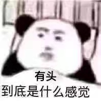 mmexport1675833232205.jpeg