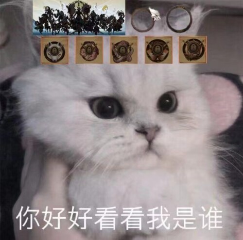 mmexport1675835969017.jpeg