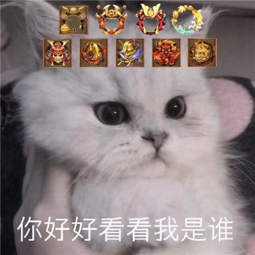 mmexport1675835971179.jpeg