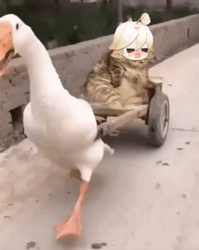 img-167607914772846e449ad4ce89d8e20e65bdfc5f5736695fb74f7ad96e389b9244a8f589460a8.gif