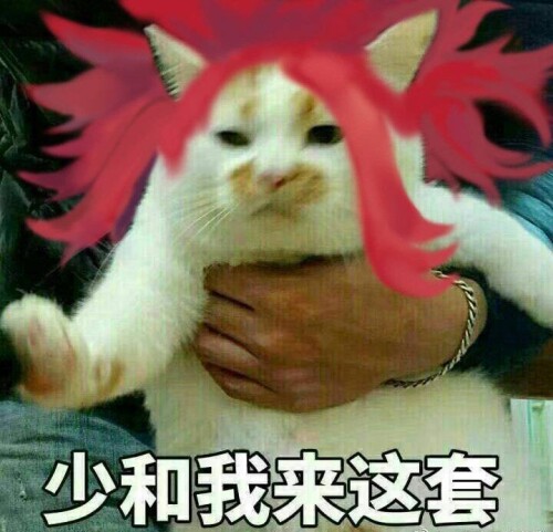 71db91d5c2a0bca1.jpeg