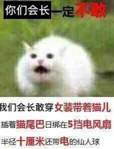 1000039662.jpeg