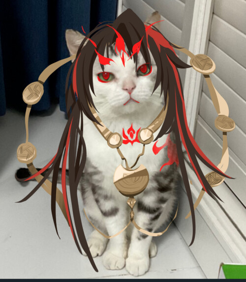 1000039669.jpeg