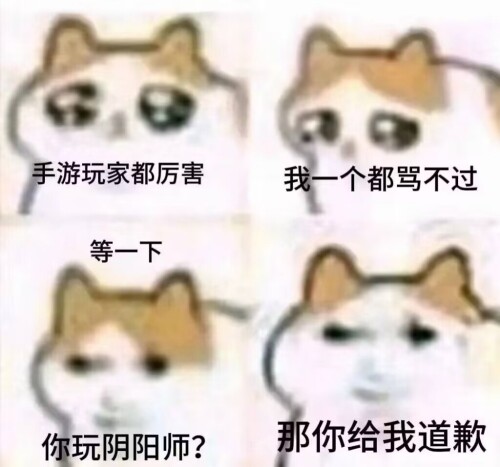 1000040546.jpeg