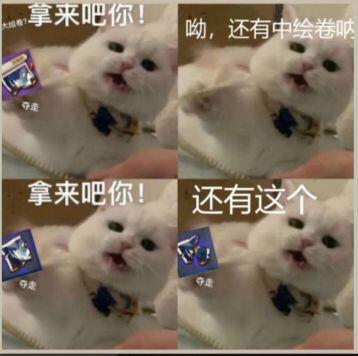 61f1068a00722eb239bcdbf0jyc8quka04.jpeg